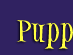 Puppets by Susan Cain